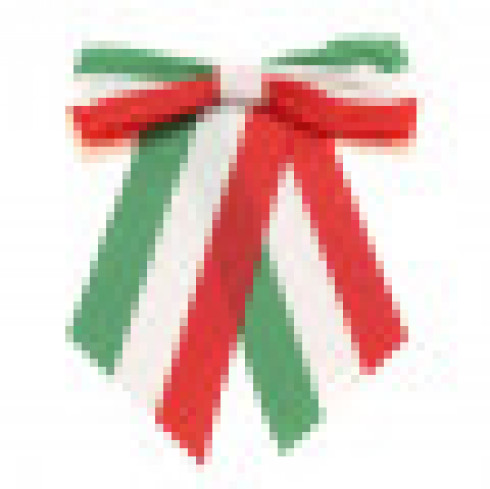 CERIMONIA DI CONFERIMENTO DELLA CITTADINANZA ITALIANA