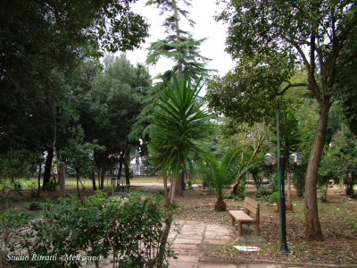 GIORNATA ECOLOGICA DEGLI ALBERI